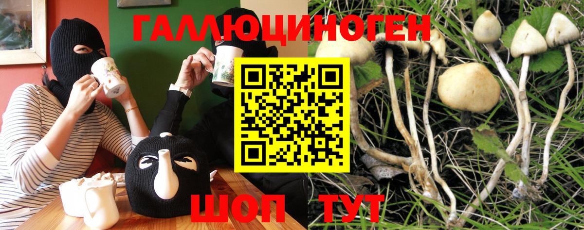 Псилоцибиновые грибы Psilocybine cubensis  дарнет шоп  Можга  Псилоцибиновые грибы MAGIC MUSHROOMS  Вход с VPN 
